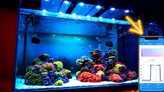 Setting The Masterclone Mode In Skylight Reef Lamps - Hyperspot Rs, Rm And Rl.