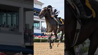 Will Chief Wallabee win the Kentucky Derby?!