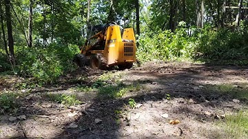 Clearing Brush On My Land With A Case 90XT Skid Loader