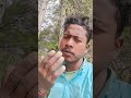 #youtube