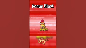 Can A Pokemon Solo the Elite 4?