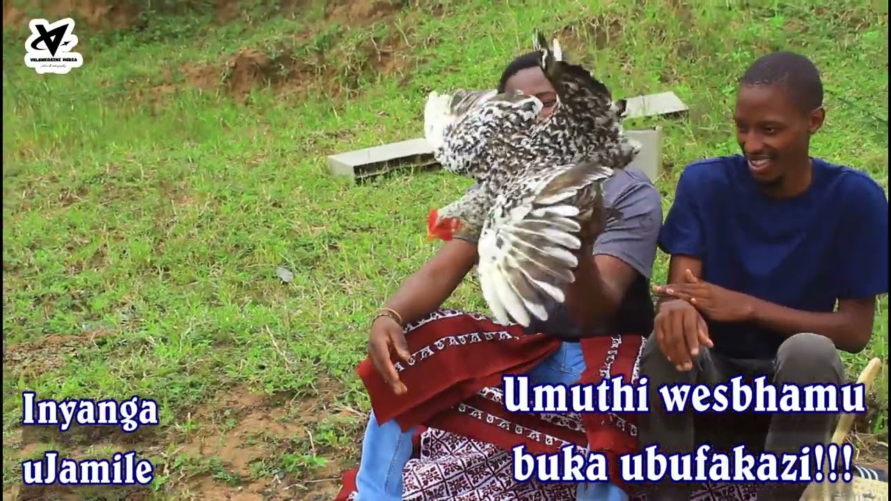 UMUTHI WESBHAMU,U TESTWA BUKHOMA.AWUDUBULEKI