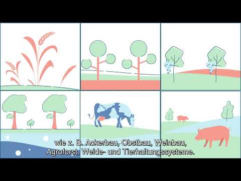 DLG-Spotlight Smart Farming - D4AgEcol