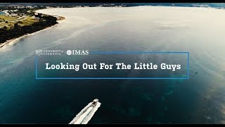 Looking out for the little guys - IMAS fisheries research by IMAS - Institute for Marine and Antarctic Studies 731 views 4 years ago 3 minutes, 31 seconds