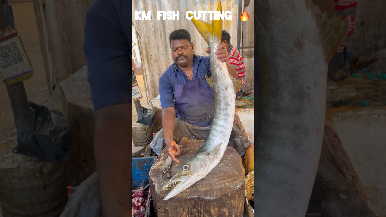 KASIMEDU 🔥 SPEED SELVAM BIG SIZE BARRACUDA FISH CUTTING VIDEO 