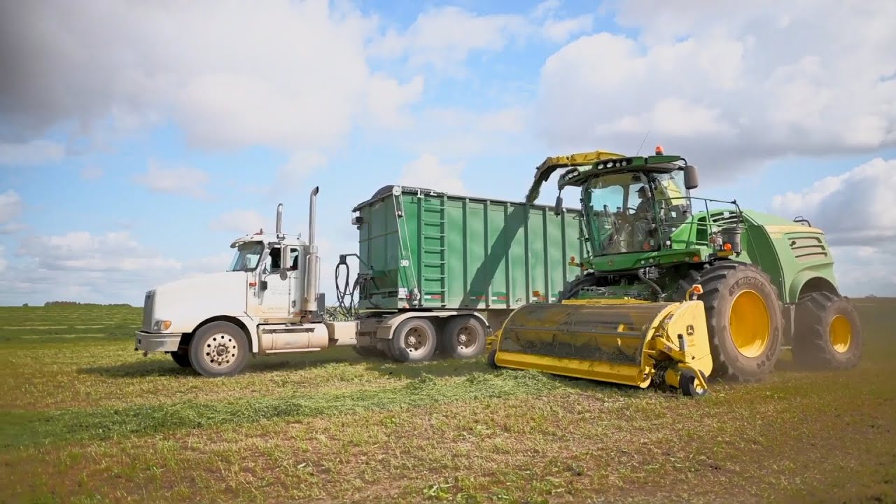 ALFA TEC Alfalfa Cubes and Pellets, Best Livestock Feed