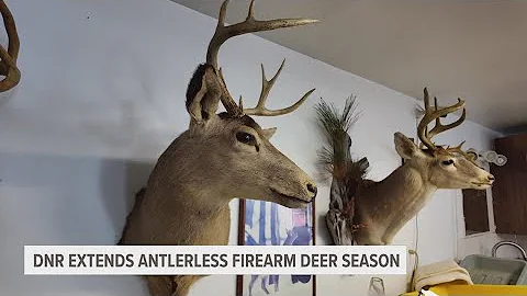 Businesses and hunters hopeful after Michigan DNR extends antlerless firearm deer season