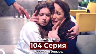 Зимородок 104 Cерия (Короткий Эпизод) (Русский Дубляж)
