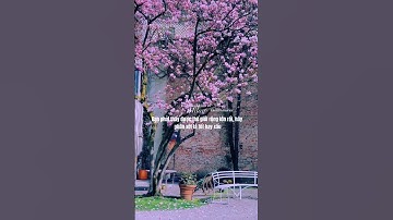 Đừng cúi đầu mà khóc hãy ngẩng đầu mà đi #shortvideo #shortsfeed #youtubeshorts #youtube #shorts