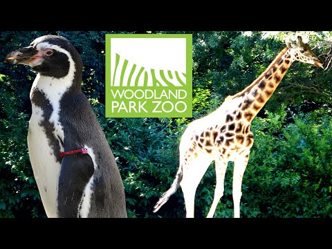 Woodland Park Zoo Tour & Review with The Legend