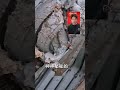 别挖了 这钱不能赚 别挖了 这钱不能赚