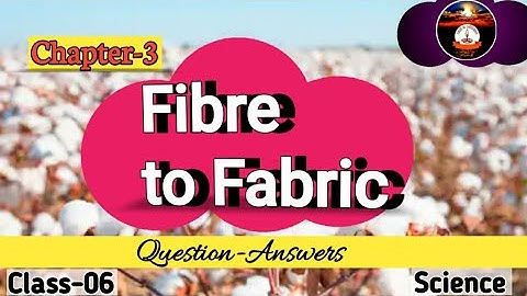 Fibre to Fabric || Question-Answers || Class-6 || Science || Chapter-3 || Ncert