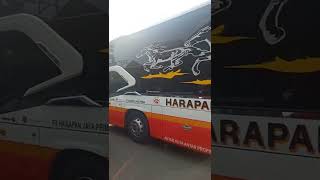 Suites Class Bus Kekinian Sesungguhnya Zaman Now  Harapan Jaya  Line Perdana Ss05