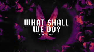 What Shall We Do? (Matt Albritton)