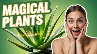 10 Magical Indoor Plants That Will Change Your Life!
