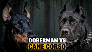 Can These Dogs Really Keep You Safe? Find Out Now