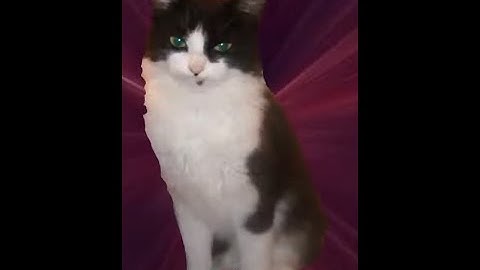 the simpons... go pruple？!？？!! but every repeated word loops back to its FIRST use