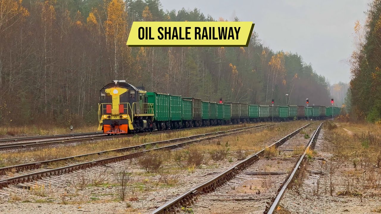 TEM2-1936 at Viivikonna