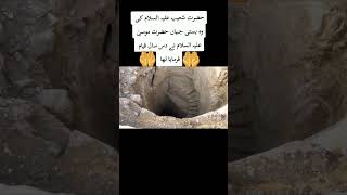 کسی کو دو پل کی خوشی دینا سب سے افضل عمل ہے by Al-Haramain🕋 1 view 4 months ago 1 minute, 25 seconds