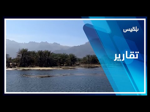 سقطرى منصة إيكاد للتحقيق تكشف بالصور حجم التوسع الإماراتي في جزيرة عبد الكوري تقرير صفاء عصام