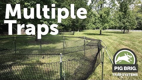 Multiple Trap Sets and Benefits | Pig Brig Trap Systems