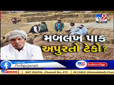Farmers rejoice over getting satisfactory prices against groundnuts in Visnagar APMC, Mehsana| TV9