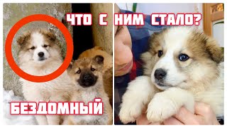:    .      ..