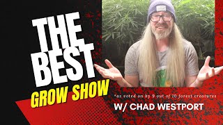 The Best Grow Show ep.22 : Sponsored by - Spider Farmer 6" Oscillating Fans