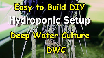 DWC Deep Water Culture Hydroponic System: Simple DIY Set Up