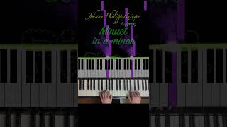Minuet in a minor Krieger Piano Visualizer for beginners #Shorts