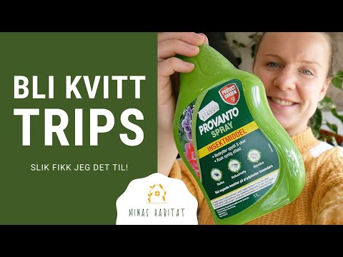 Video: Slimmuggkontroll – bli kvitt slimsopp i hagemulch