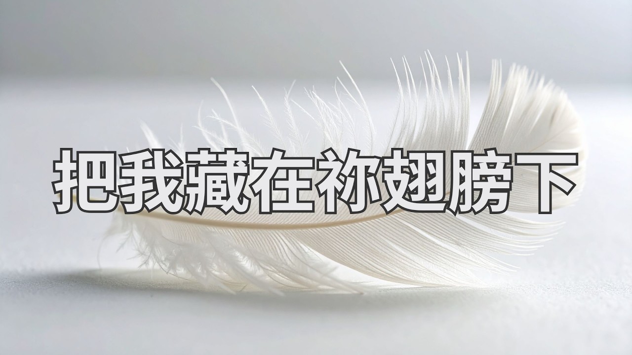 把我藏在祢翅膀下