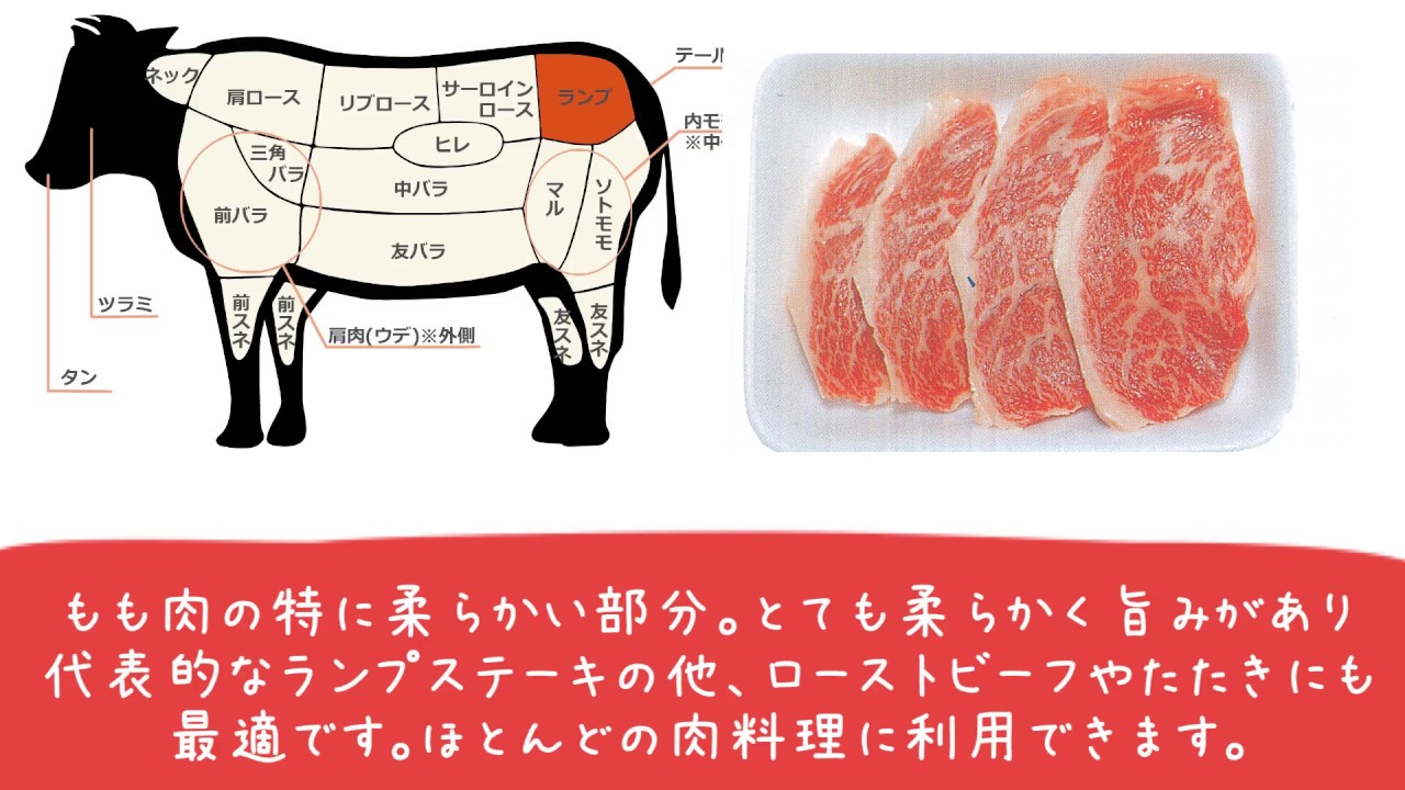 お肉の勉強 【ラムイチ】豆知識 牛肉 部位 モモ YouTube お肉の勉強 【ラムイチ】豆知識 牛肉 部位 モモ YouTube