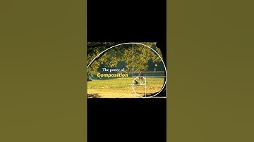 The Power of Composition