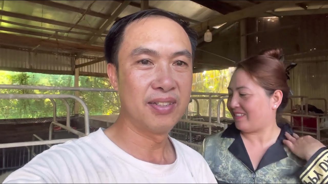 CHĂN NUÔI HEO NÁI - TIÊM SẮT NHỎ CẦU TRÙNG HEO CON 3 NGÀY TUỔI ||Vân Miền Tây - @VanMienTay79.