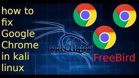 google chorme is not working in kali linux