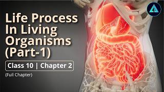 Life Processes in Living Organisms Part 1 | Std 10 | Science 2 | Chapter 2 | Maharashtra State Board