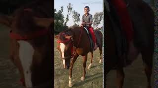 VID 20190606 WA0002