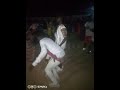 Sella Congol Rasta Boga Sella Congol Rasta Boga