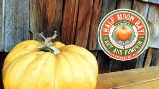 Half Moon Bay Art And Pumpkin Festival 🎃 Studio Knit Vlog #13
