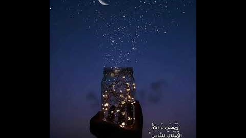 سورة النور ¥ الله نور السماوات والأرض ¥ تلاوة مدهشة لآيات من سورة النور | حالات واتس أب |