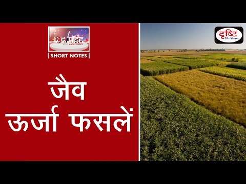 वीडियो: व्यावसायिक दृष्टि से कौन-सी वनस्पति महत्वपूर्ण है?