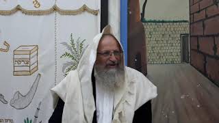 שמירת כשרות ארבעת המינים לאורך החג | הלכה יומית | הרב שמואל אליהו | בי"כ אבוהב