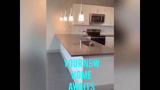 A6 Floorplan - 844 SqFt