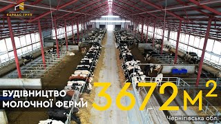 Будівництво корівника на 350 голів.Чернігівська область