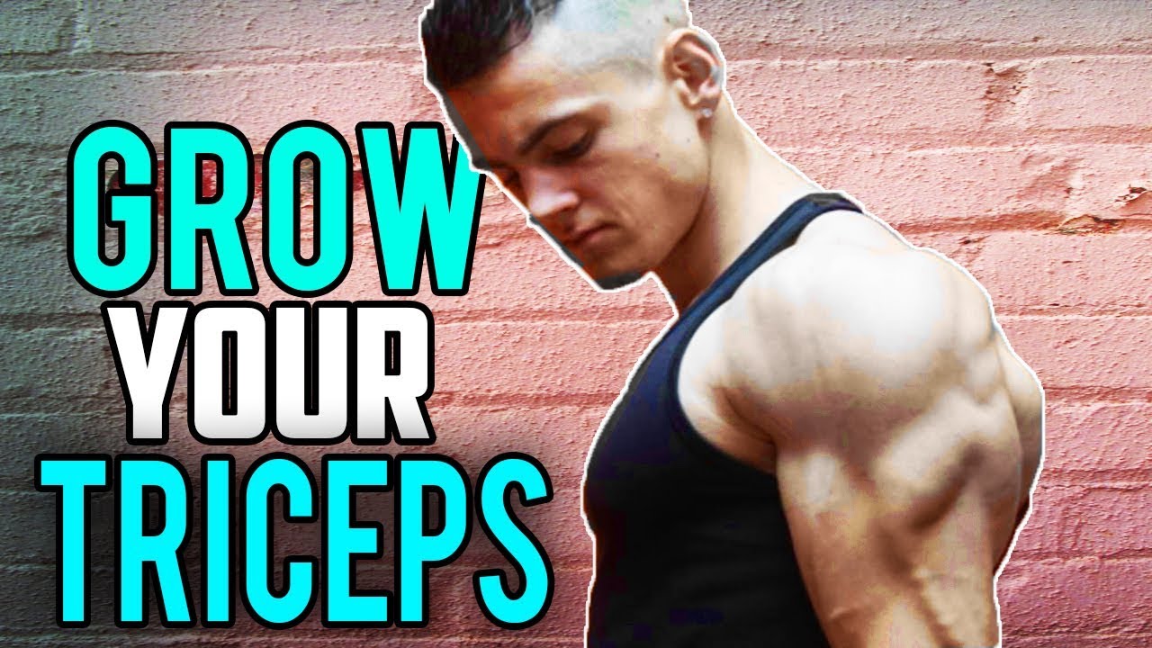 Triceps Development How To Grow Your Triceps | Full Development (6 Studies) - YouTube