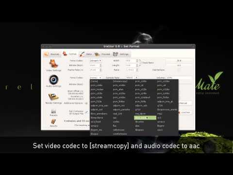 traGtor - ffmpeg/avconv user interface for Linux desktops