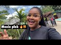 Vlog 296 damian maakt sap  bitawiri by appeloniacook with me