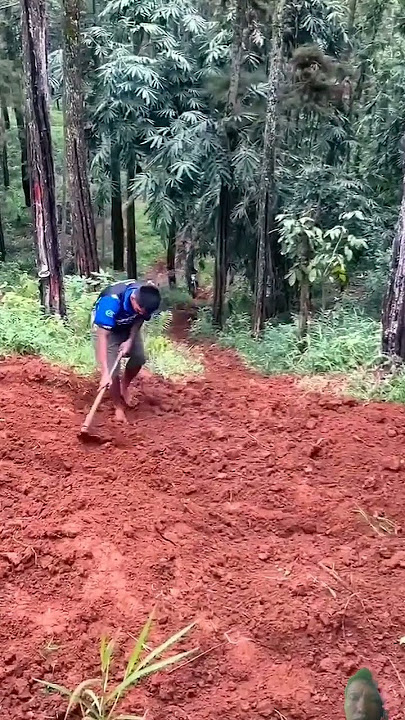 mencoba tanjakan bebek yang belum jadi #automobile #motocross #trabas #motortrail #enduro