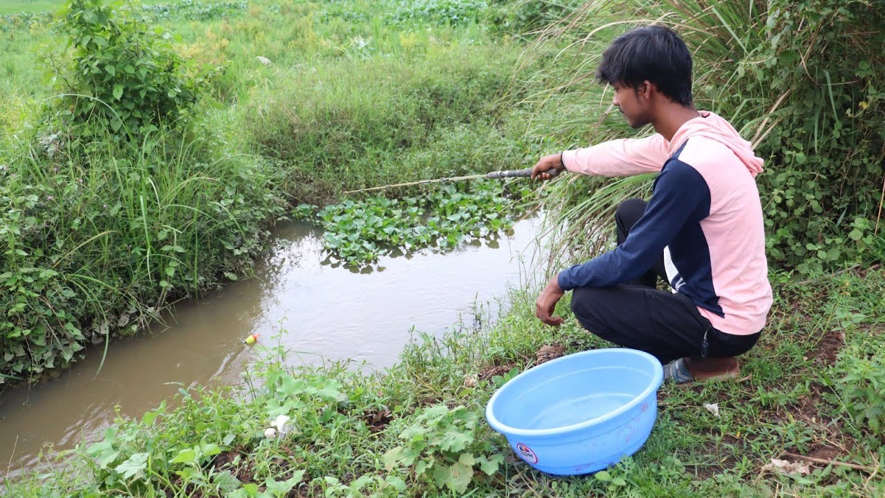 Fishing || The boy caught a lot of fish from a small canal during the ...